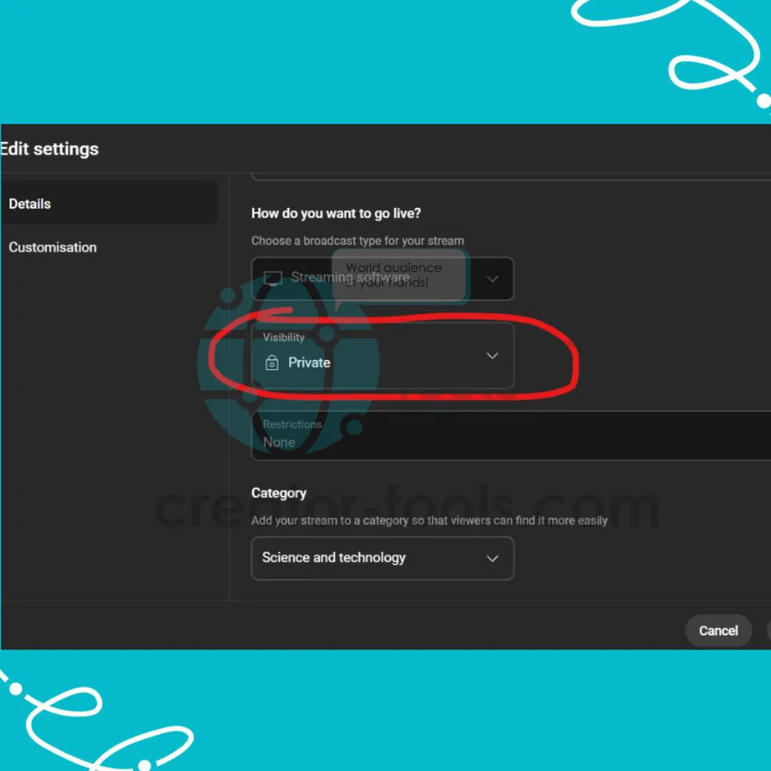 Настройки стрима, обведено поле Visibility со значением Private